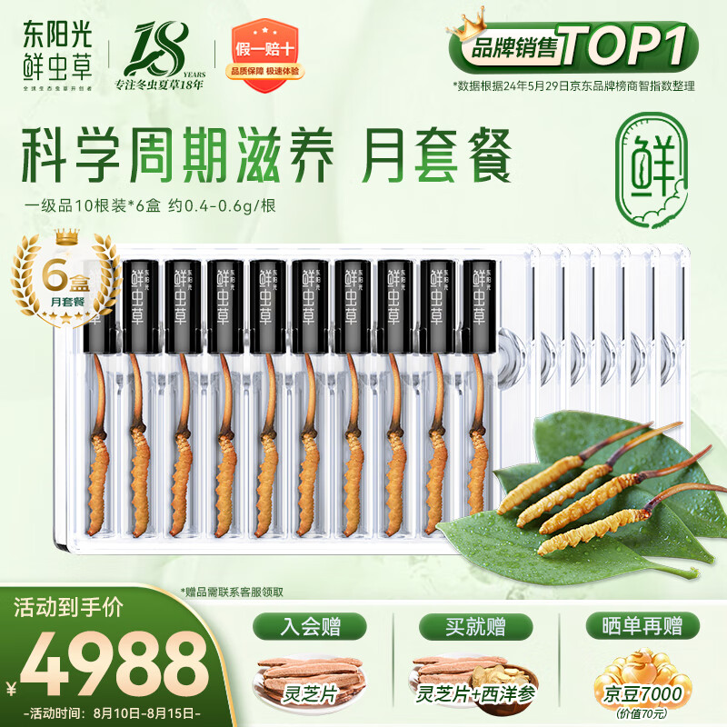 东阳光鲜虫草0.4-0.6g/根60根新鲜冬虫夏草补品送长辈老人源头直发包邮