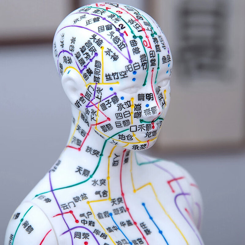 60cm针灸人体模型彷真穴位经络小铜人形十二按摩身标准可扎 功能创伤护理人模型