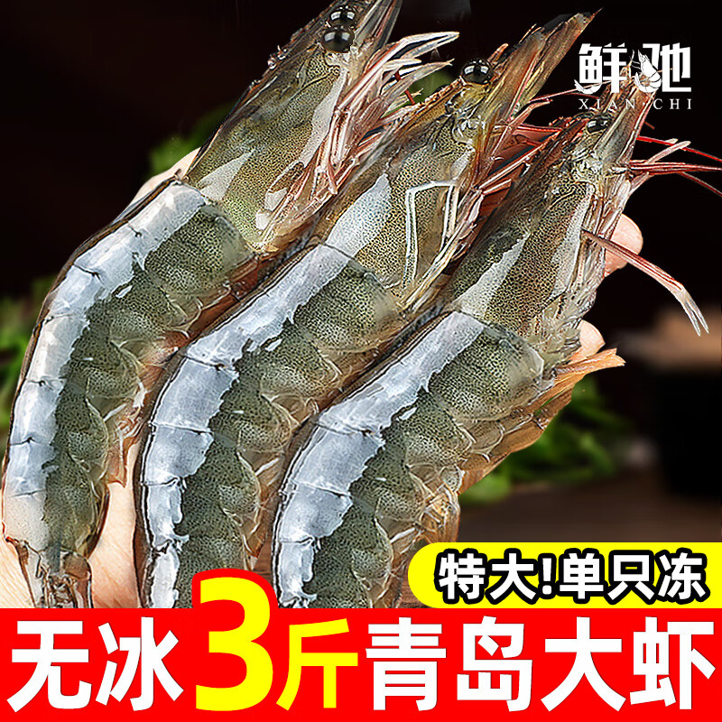 鲜驰虾 气冻大虾 3斤 15-18cm