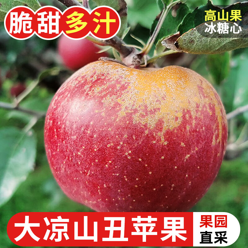 探味君 正宗大凉山丑苹果 当季时令新鲜水果四川冰糖心苹果红富士 生鲜 净重4.5-5斤 单果65-70mm