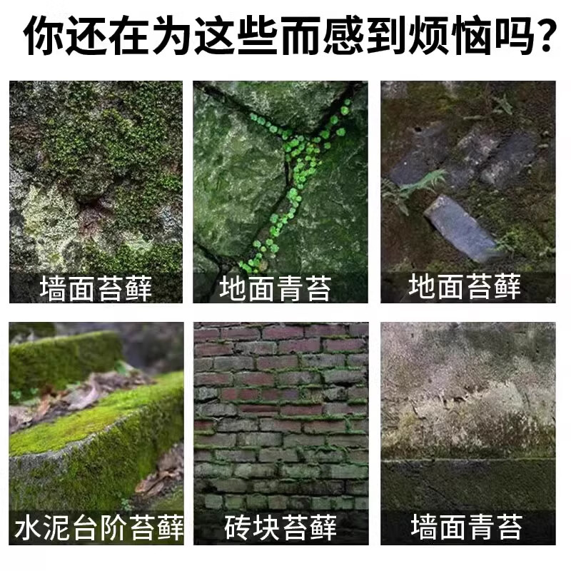青苔清除剂青苔清除剂水泥地强力清除蓝绿藻地面墙面老院子除青苔 三斤【可以用300平】