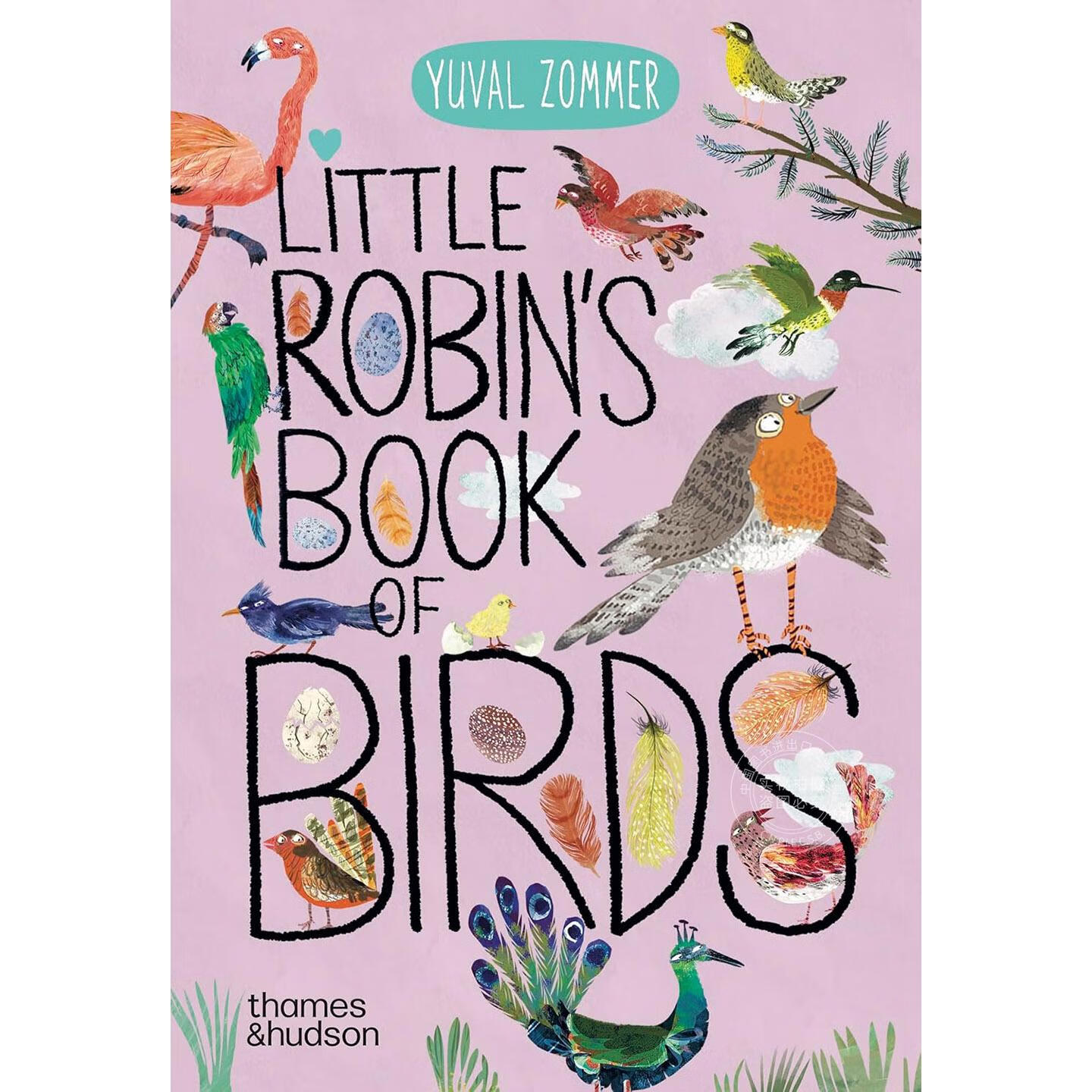 现货 小知更鸟的鸟类图鉴 儿童科普绘本 Thames & Hudson出版社 英文原版 Little Robin's Book of Birds 0-4岁