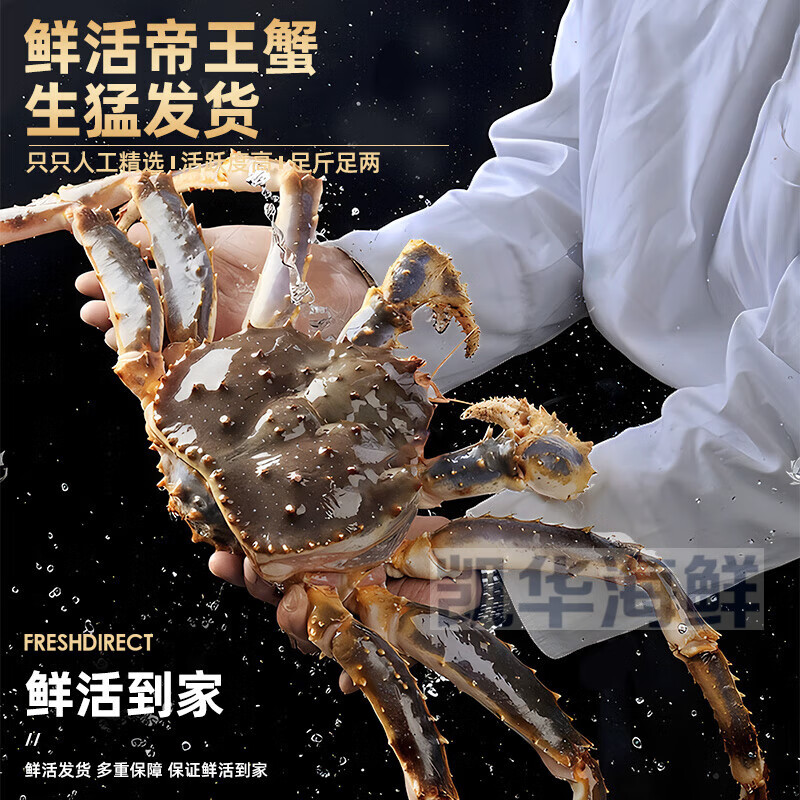 鲜活蟹俄罗斯进口10斤螃蟹帝皇蟹海鲜水产长腿礼盒 3.0-3.4斤【全国30仓 活蟹 保活