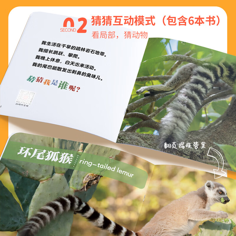 动物认知小百科(全24册)赠音频 0-2-4岁幼儿认知动物科普儿童趣味早教科普启蒙绘本中国世界动物百科全书幼儿园大象帝企鹅熊猫长颈鹿斑马绘本揭秘动物生活动物大百科 动物认知小百科