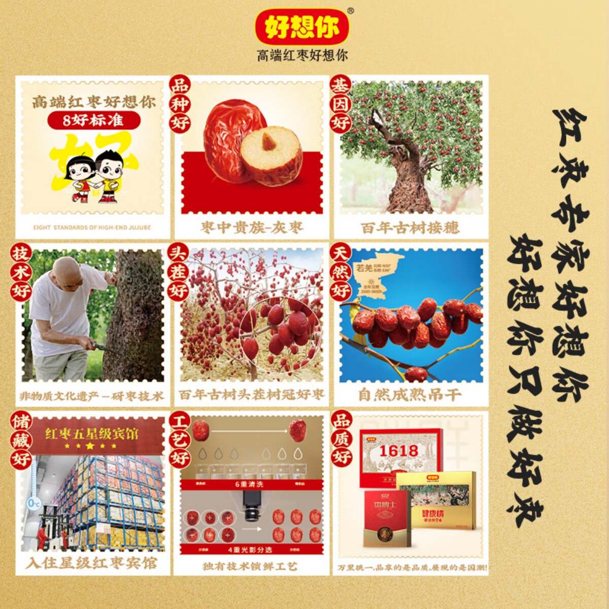 好想你_红枣黑芝麻丸 休闲零食高钙核桃灰枣蜜饯果干健康食品糕点 【伴手礼】红枣黑芝麻丸480g/箱