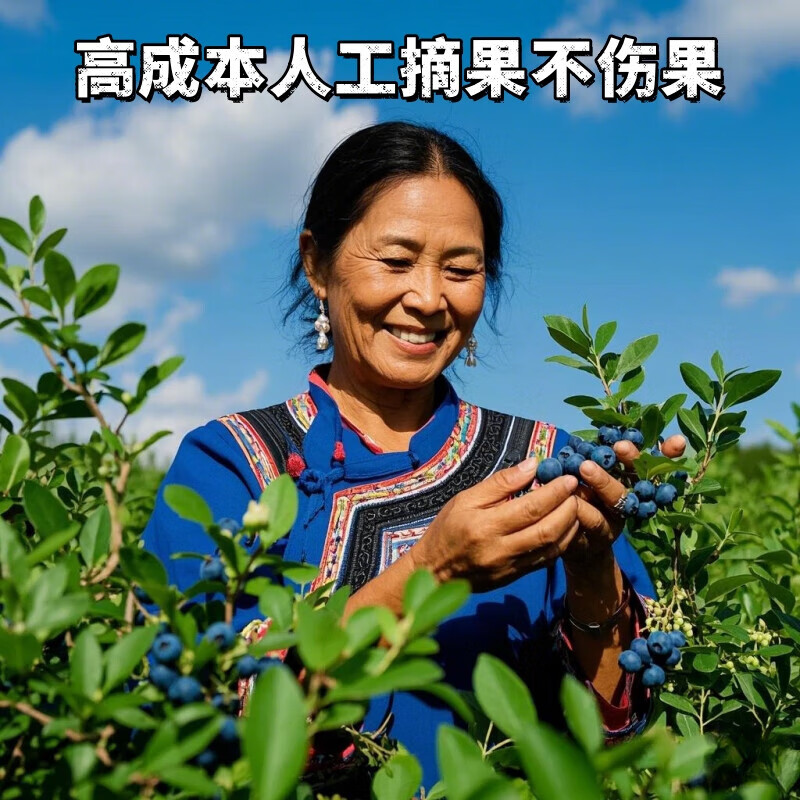 余悦云南花香蓝莓【JD/邮政空运-多地次日达】国产高山蓝莓新鲜送礼 6盒【单果20mm+】125g/盒(净100g)
