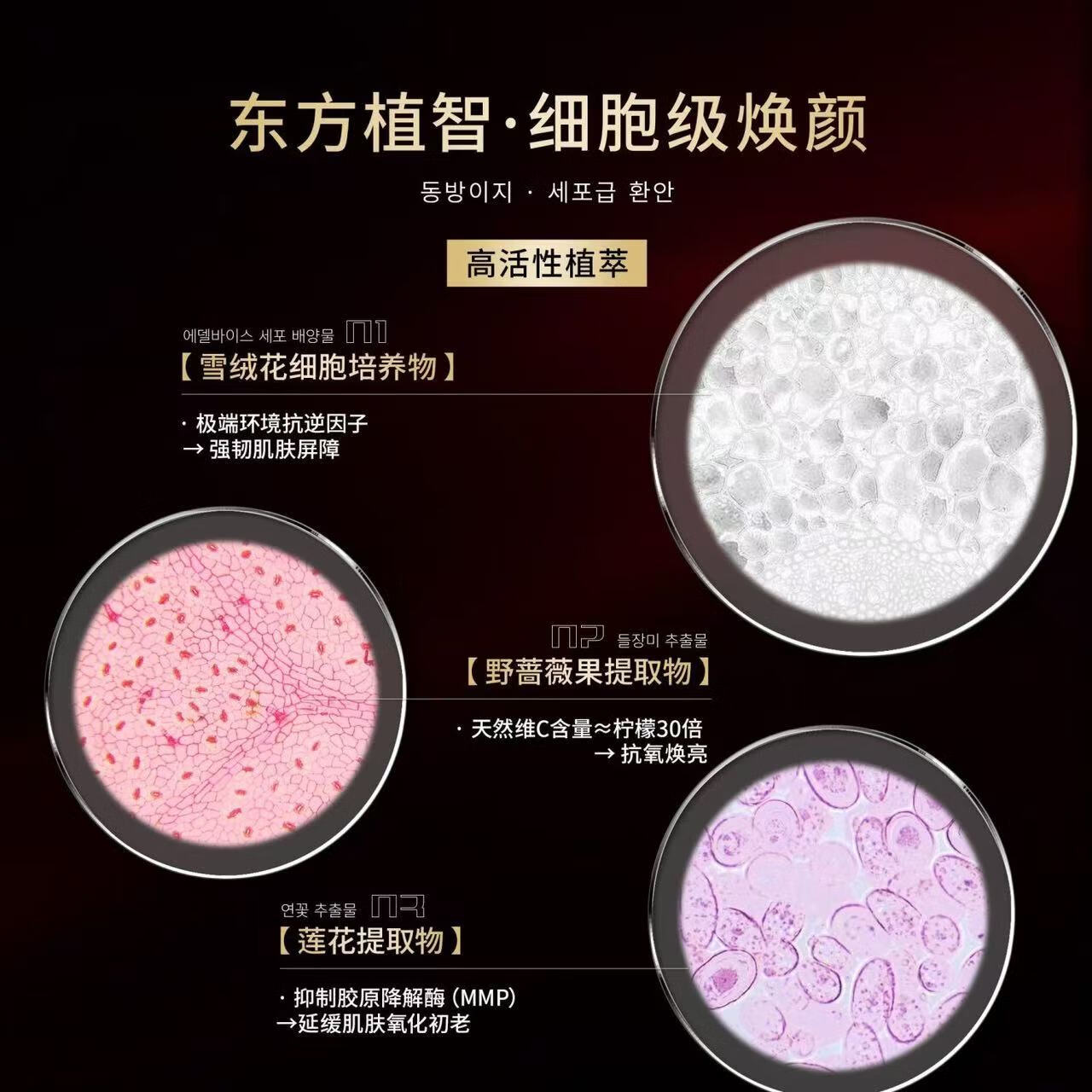 ACENTUA重组胶原蛋白次抛精华液舒缓修护精华液保湿补水紧致抗皱面部精华 [30支*2盒]胶原蛋白次抛精华液[赠4袋试用装]