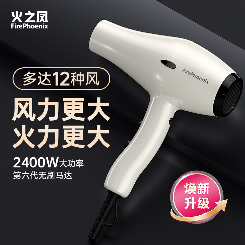 火之凤吹风机6600X 发廊专用大功率2400W大风力低噪音家用恒温护发不伤发 理发店专业电吹风筒家电 6600X米兰白 (四档风)