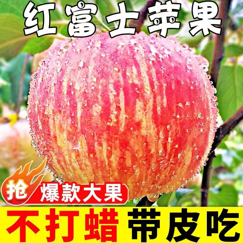正宗陕西红富士苹果超值装仅14.9元