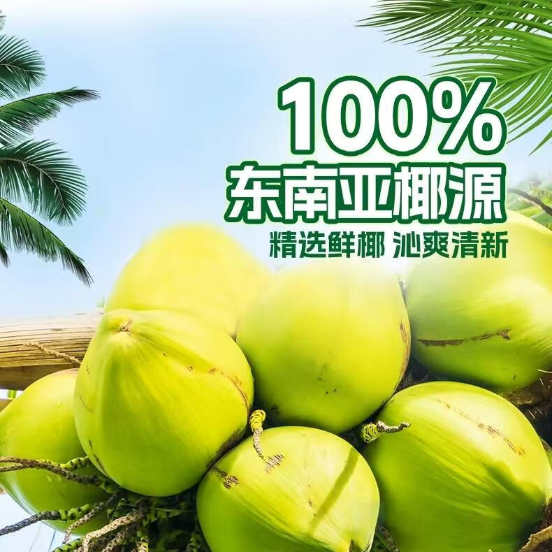 珠江100%椰子水1.25kg东南亚椰源饮料椰汁nfc饮料孕妇专用一整箱 2箱 (共12瓶X1.25kg)大瓶装更过瘾