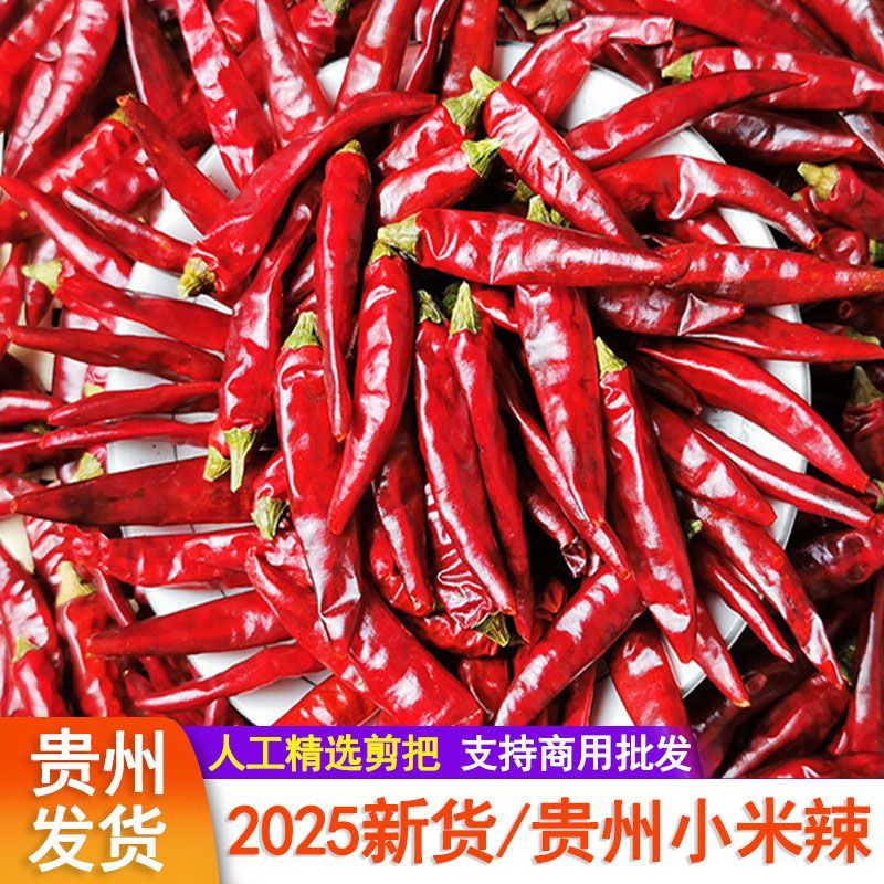 贵州干辣椒子弹头二荆条干辣椒微辣特香朝天椒灯笼椒辣椒干货商用 剪把/贵州子弹头 500g【一斤装】