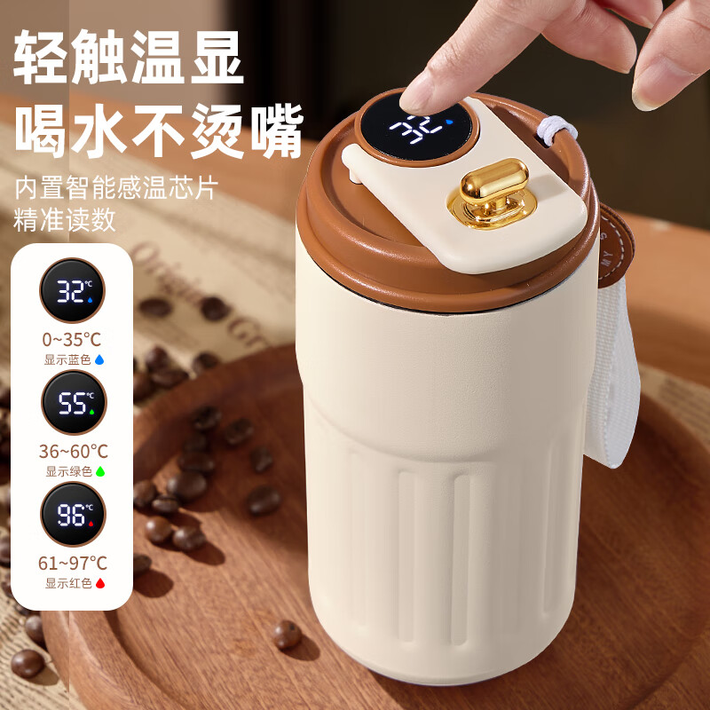 Briar Vine保温杯水杯杯子保温杯男款保温杯女款水杯女生水杯保温杯学生 316不锈钢保温杯450ml(智能温控)