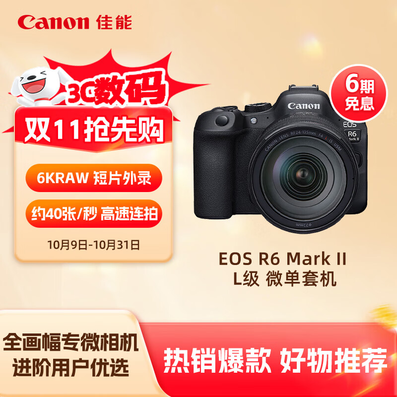 佳能（Canon）EOS R6 Mark II R6二代 新标准全画幅微单相机R62 L级24-105标准镜头套装