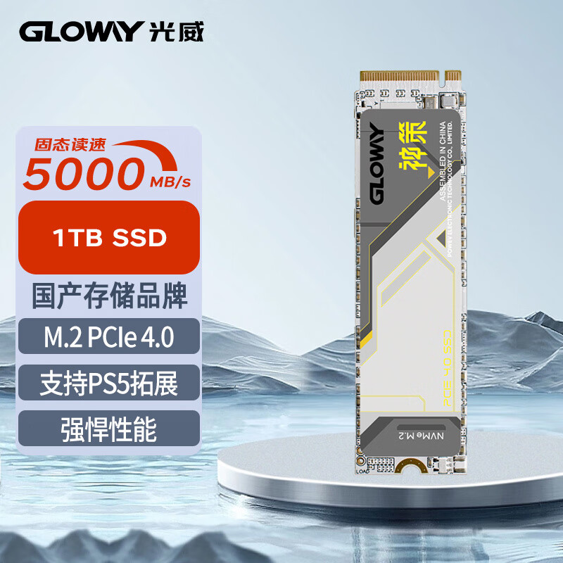 Gloway光威神策 1t 2t 固態(tài)硬盤ssd m.2 pcie4.0 筆記本臺(tái)式機(jī)電腦硬盤 神策 1TB PCIe4.0 1TB
