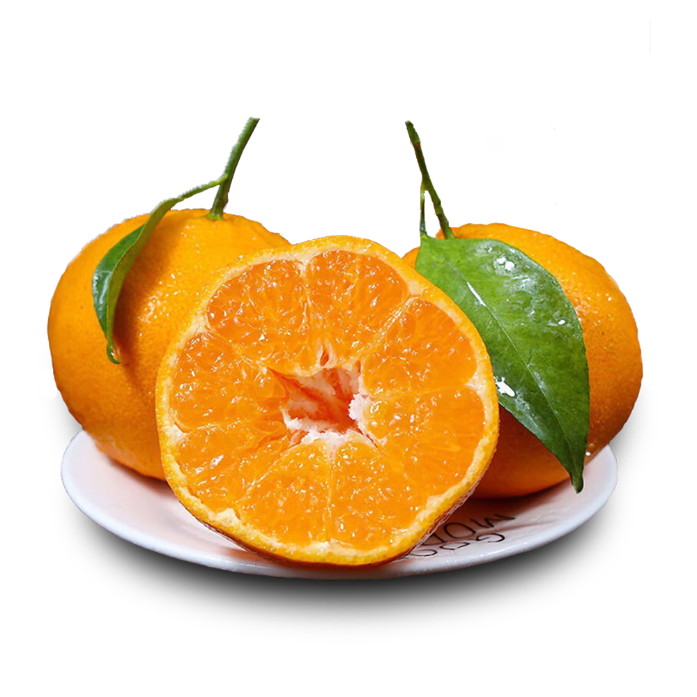 ���� �Ĵ������ҰҸ� ��10�� ����85mm+������� Դͷֱ������ 49.9Ԫ