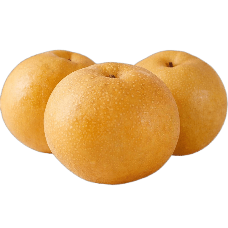 ڲѰʵ浱ժѩˮɽ 4.5װ 6-9ö 14.9Ԫ