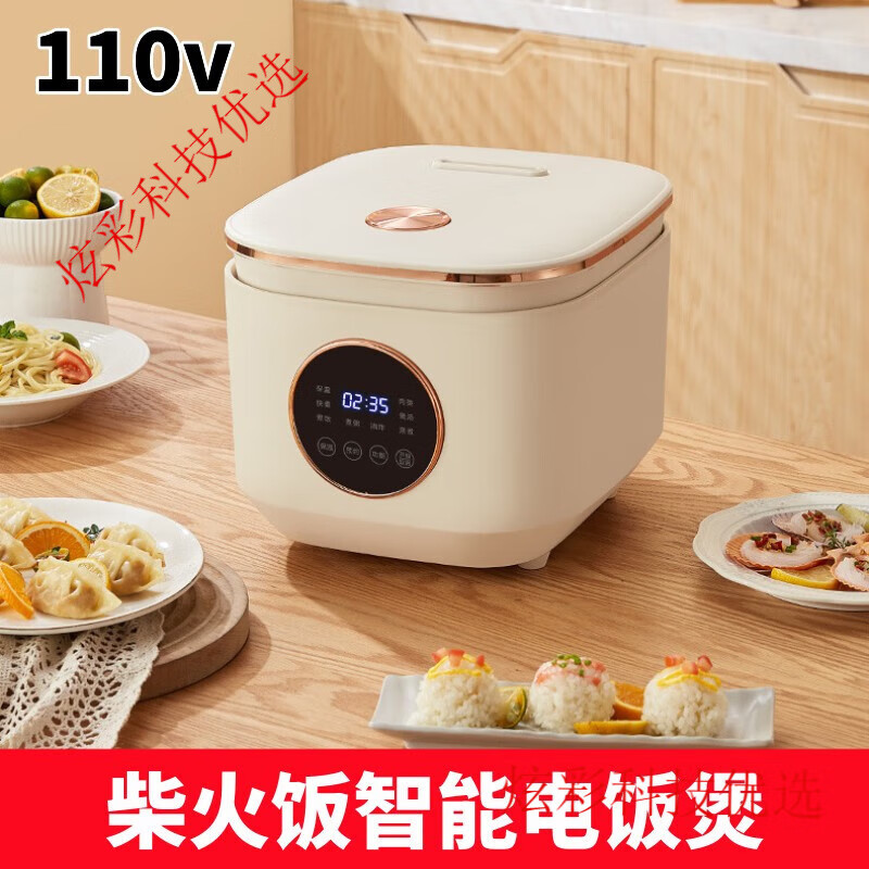 酷迪熊110v伏电饭煲家用饭煲电饭锅美国出口小家电迷你煮 110v电饭煲 (国内电压禁用 5L