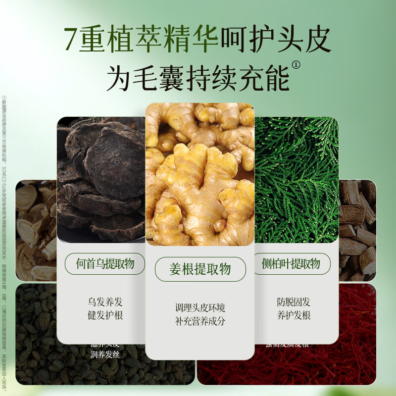 卓蓝雅【持证防脱】生姜侧柏防脱固发控油去屑清洁头皮洗发水男女士通用 防脱固发洗发水250ml