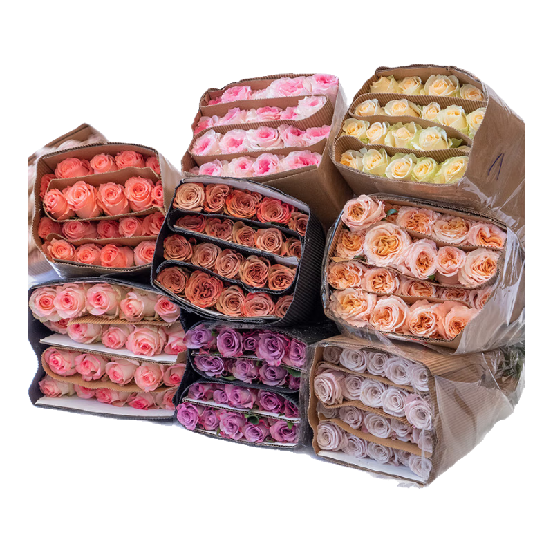 õ�廨 �����ʻ����� �滨 ˮ����ƿ ���18+2֦����� 25.99Ԫ