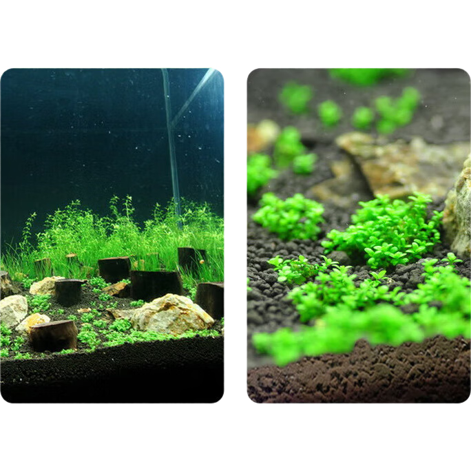 ˮ������������ר��ˮ������̬�ݸ׵�ɰ����ѷӪ�����쾰��ɳ ˮ����1�� 3.09Ԫ