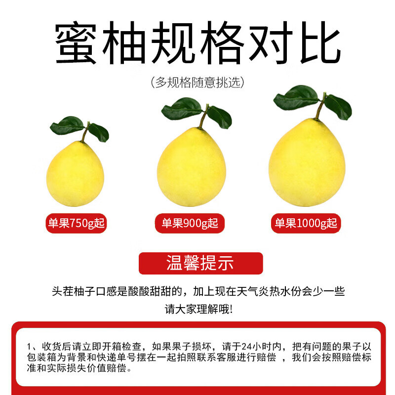 颜曼箐福建三红蜜柚红心蜜柚子【高品质】三红蜜柚子当季新鲜水果 5斤装约2-3个果 单果500-850g