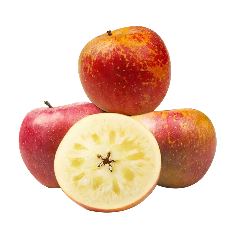 ���ڲ��������� ������ͨ��ƻ�� ��ʿ������ ����70mm+ ����4.5�� Դͷֱ�� 18.8Ԫ