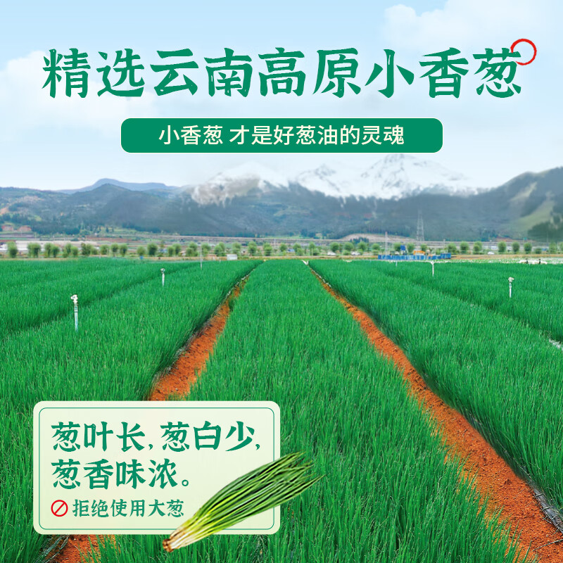 仲景上海葱油拌面酱料汁 麻酱味拌粉馄饨下饭荞麦面条酱【配料干净】 【经典味】上海葱油210gx2瓶