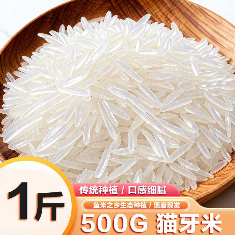 正宗当季丝苗米猫牙米南方长粒香大米新鲜优质一年一季米产地直发 】500G丨猫牙米【尝鲜促销装