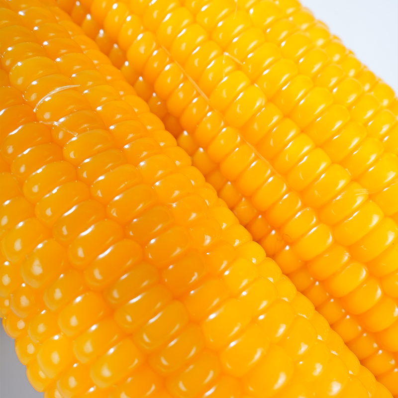 中果农茂东北黄糯玉米棒【2025年新玉米】新鲜甜糯玉米棒代餐轻食真空包装 白糯玉米段 7-8段【净重1KG】