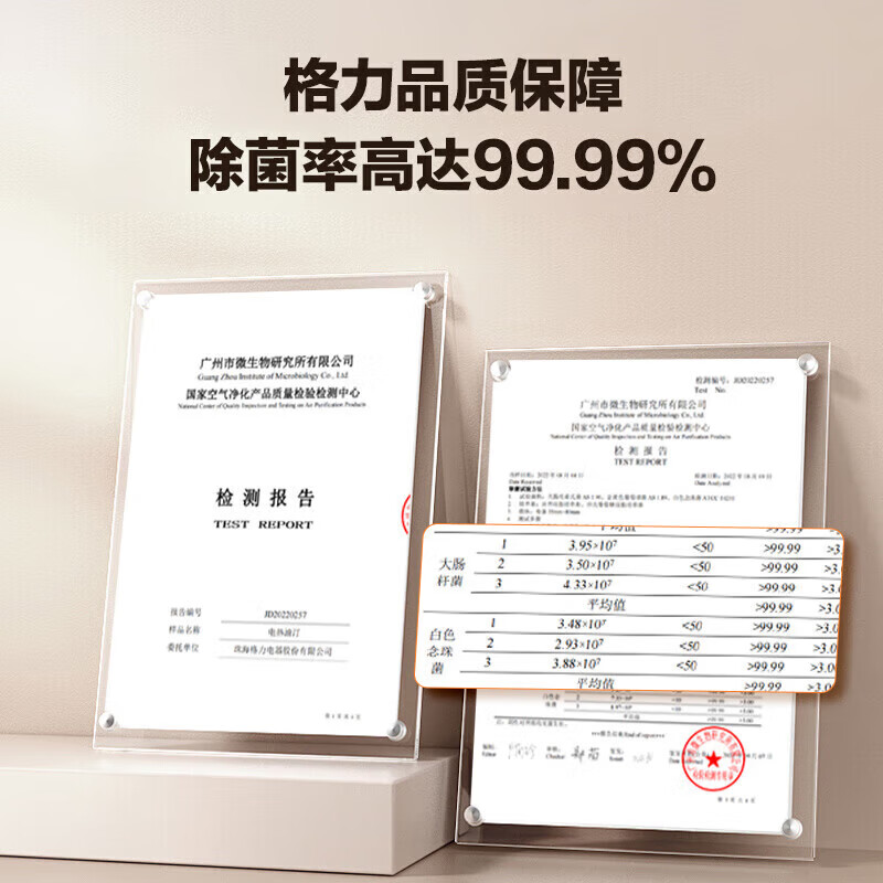 格力（GREE）电油汀取暖器电暖器家用取暖气油丁电暖气片卧室干衣加湿 NDY23-X6022【13片旋钮操控】