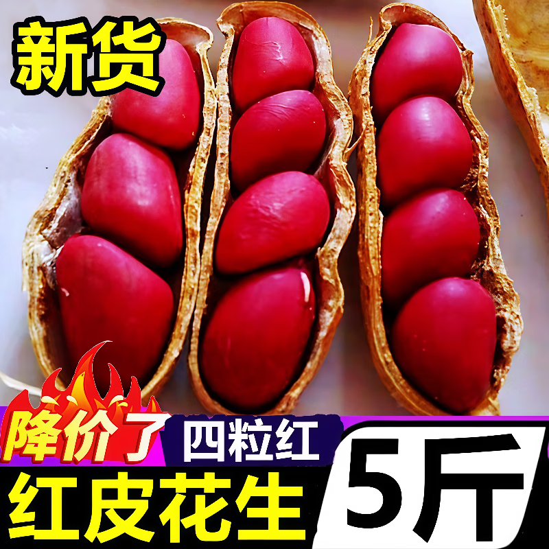 黄六爷四粒红带壳红皮花生2025新货5斤新鲜干花生米红衣农家自种生花生 5斤【生花生】红皮带壳