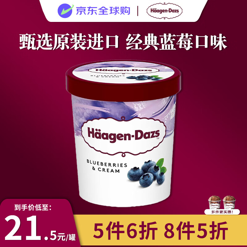 哈根达斯（Haagen-Dazs）蓝莓口味冰淇淋 100ml/杯 小杯装