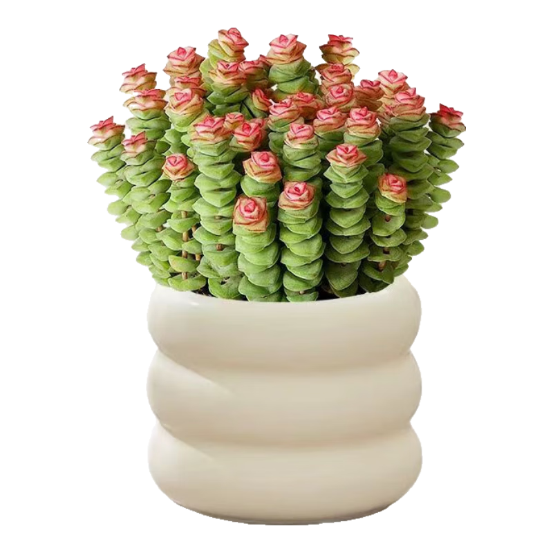 ���ڲ���������Ǯ����ֲ��������Ի��� �в�Ǯ���Ӵ���+����Ȧ�մ��� Դͷֱ�� 90.72Ԫ��3��(��30.24Ԫ/��)