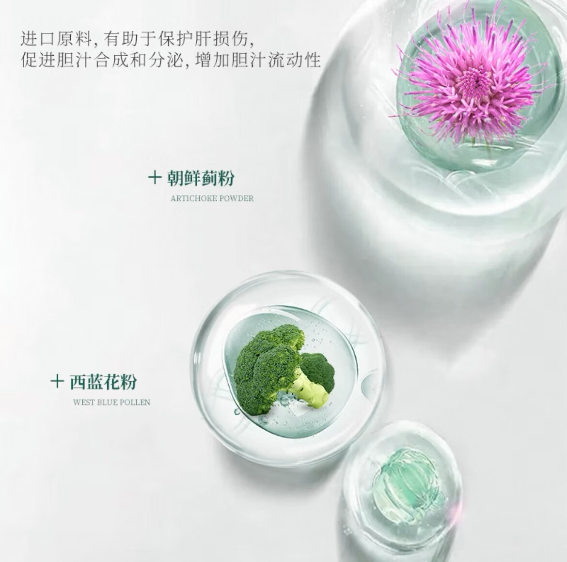 科学喵Dr.cats肾久胶囊宠物综合营养补充剂维生素氨基酸猫犬通用 【护肾养肾】 60粒*1盒