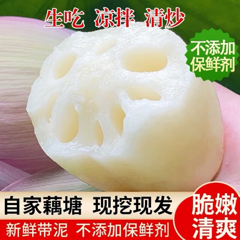 新鲜莲藕脆嫩多汁现发当季鲜藕下酒菜 清甜凉拌 精品莲藕-2斤