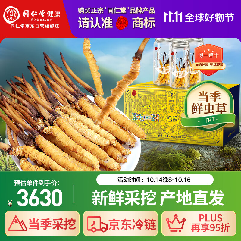 同仁堂品牌 新鲜冬虫夏草约1.01-1.3克/根 30根装青海源头直发包邮