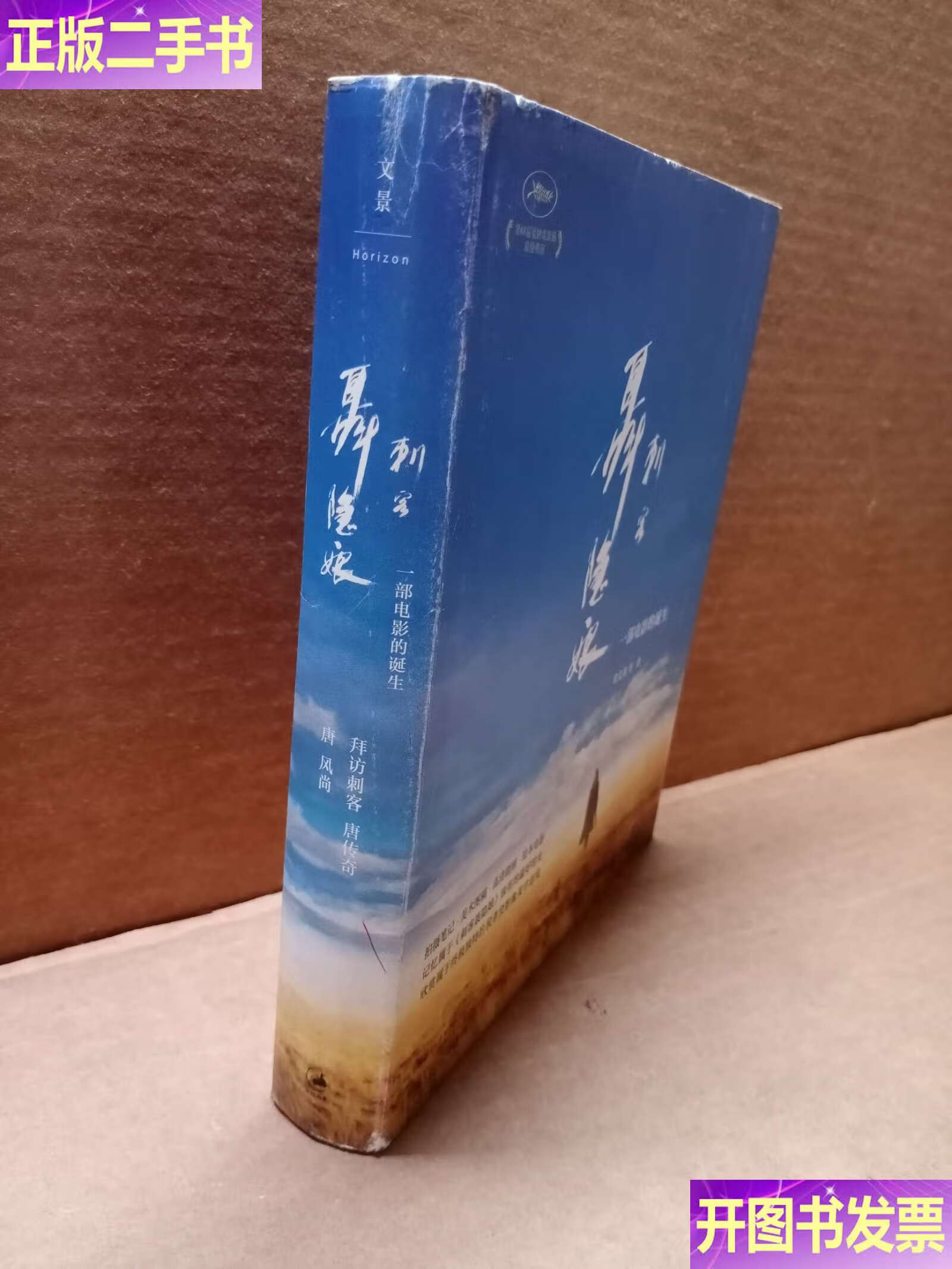 刺客聂隐娘专业影评