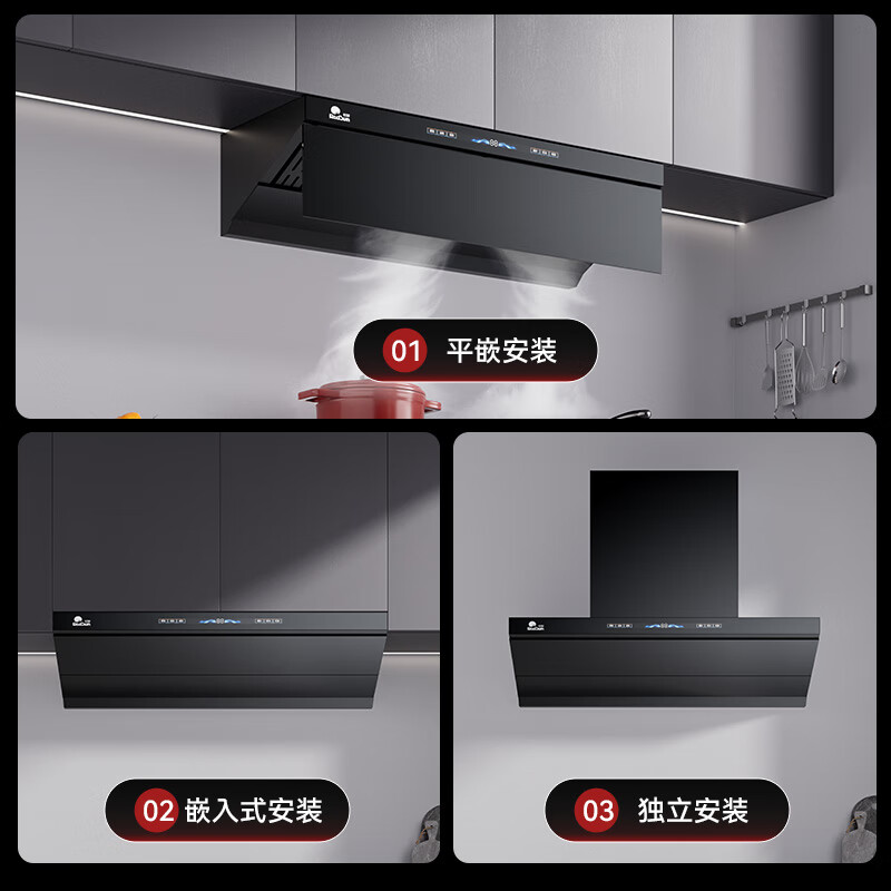 RedSun挥手触摸体感双控直流变频铜线电机33m³澎湃大吸力P6热除油清洗1300pa静压顶侧双吸抽油烟机 33m³大吸力变频铜线电机挥手体感1300pa静压 液化气