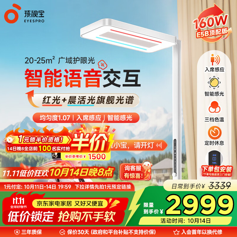 孩视灯家用落地大路灯E5-160W-R