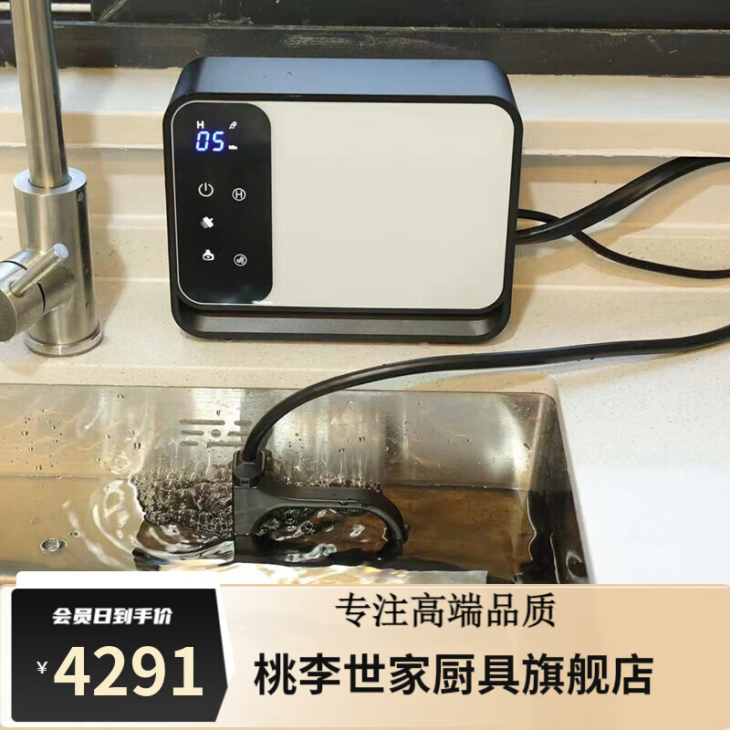 君吻德国进口品质洗菜机家用果蔬清洗机超声波自动食材净化机水果蔬菜解毒机洗碗机 QS-400H款(新增活氧)