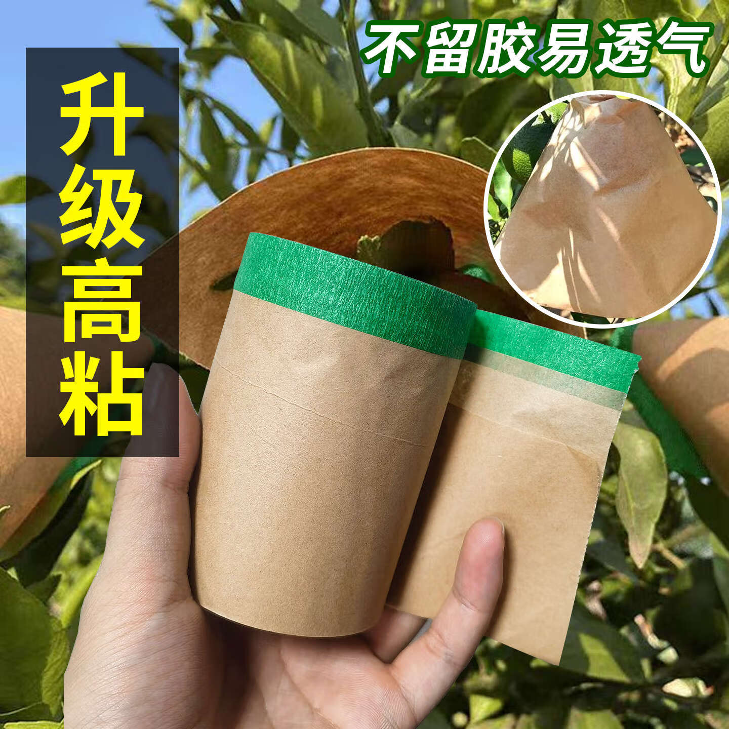 美衣羊柑橘牛皮纸防晒贴纸太阳果贴纸水果脐橙柑桔粑粑柑防晒日灼耐