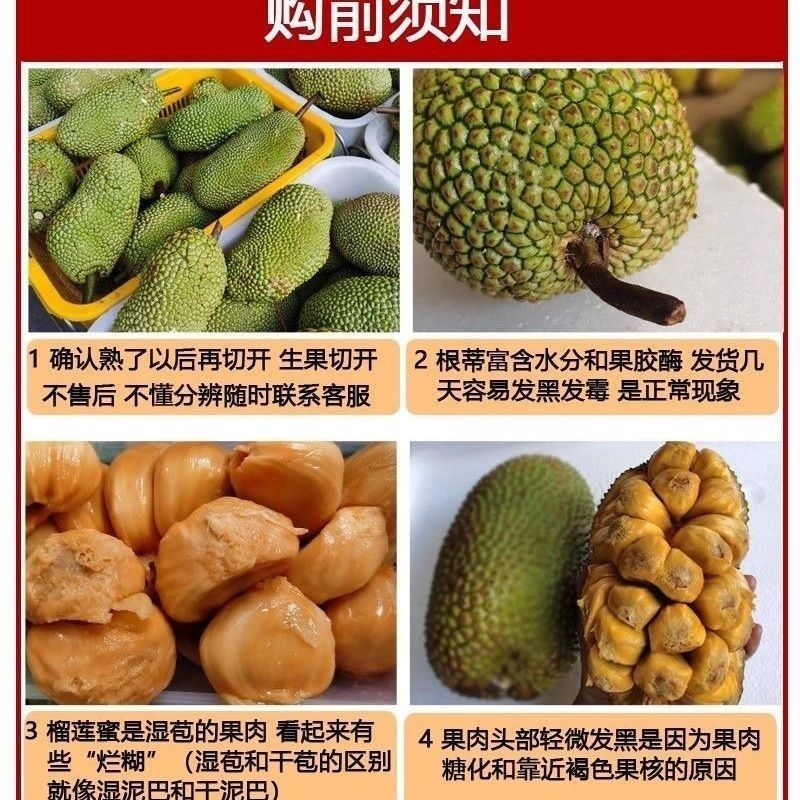 田园东方海南榴莲蜜热带水果 软糯香甜 (包6颗果肉/个)(顺丰)榴莲蜜 2-3斤(约1个装)
