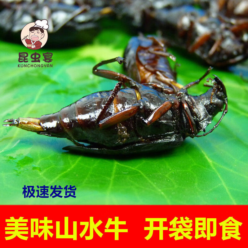 山山牛油炸山水牛山虫牛香酥即食山春牛昆虫宴食用昆虫美味零食 15只