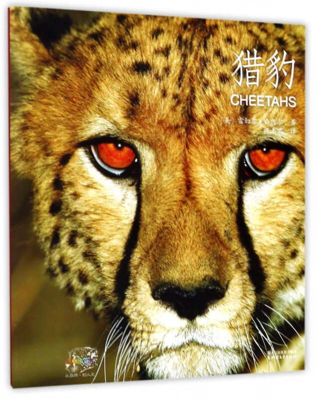 猎豹/动物小百科