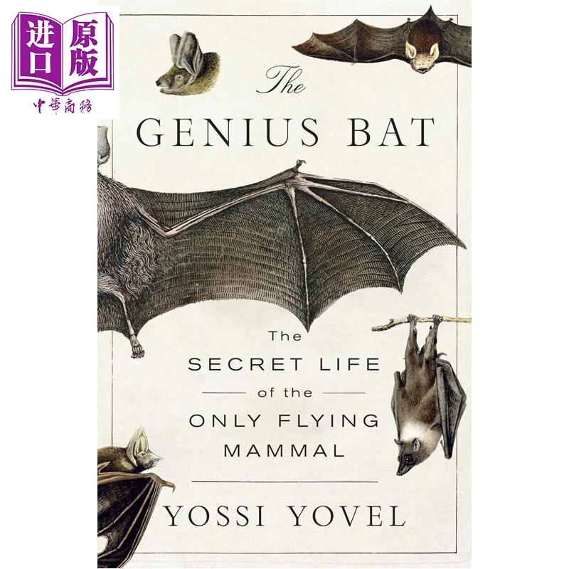 预售 天才蝙蝠 会飞的哺乳动物的秘密生活 科学科普 Genius Bat 英文原版 Yossi Yovel