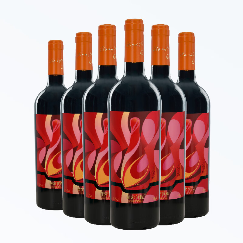 榜荣前程宁夏国产红酒 贺兰山东麓产区 双有机酒庄橡木桶赤霞珠干红葡萄酒 榜荣前程-美乐【整箱礼盒装】