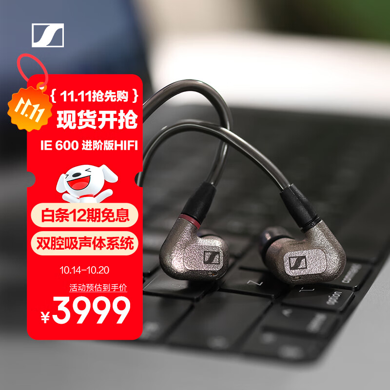 森海塞尔（Sennheiser）IE600 有线耳机 高保真HiFi音乐耳机 入耳式音乐耳机 金属色 双11推荐
