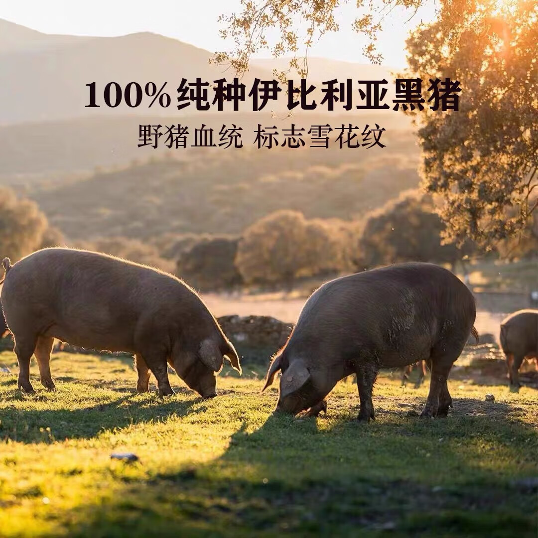 BLUELABEL西班牙火腿伊比利亚黑猪进口全橡果黑标绿标后腿切片生吃开袋即食 （2包组合装）黑标后腿50g+绿标后腿50g