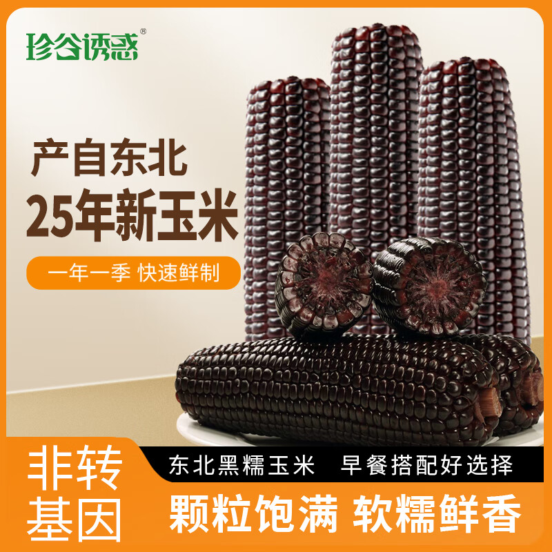珍谷诱惑25年新鲜糯玉米 精品大棒 东北甜糯玉米棒 真空玉米 轻食苞米 黑糯玉米10支 2.4kg