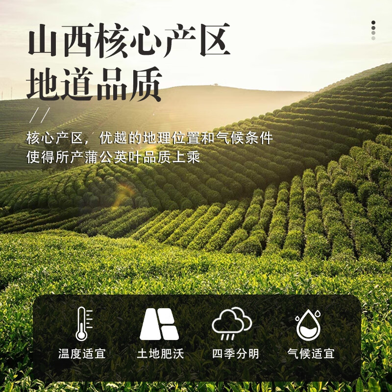 朕皇北京同仁堂蒲公英叶野去火散结节正品特新鲜生级浦公英根茶婆婆丁 【1盒装】体验装 80g/盒